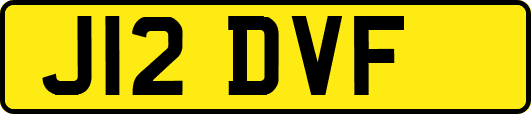 J12DVF