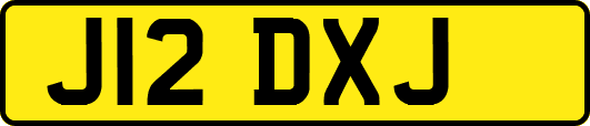 J12DXJ