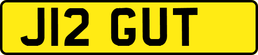 J12GUT