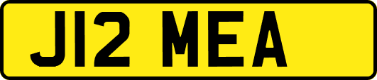 J12MEA