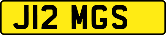 J12MGS