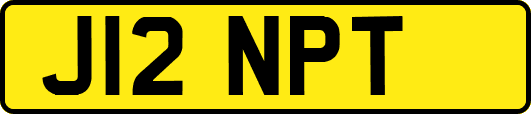 J12NPT