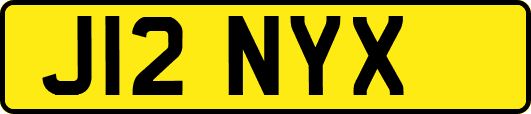 J12NYX