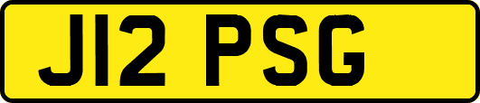 J12PSG
