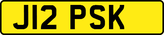 J12PSK