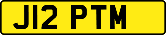 J12PTM