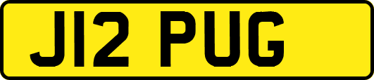 J12PUG