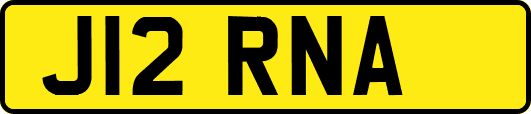 J12RNA
