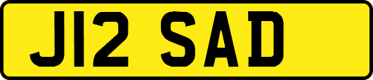 J12SAD