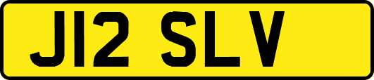 J12SLV
