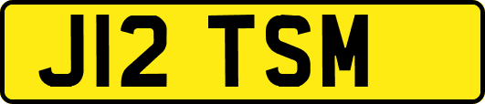 J12TSM