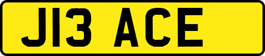 J13ACE