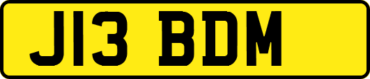 J13BDM