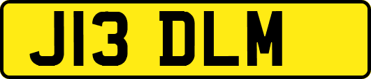 J13DLM