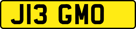 J13GMO