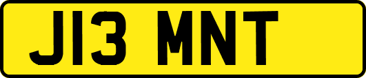 J13MNT