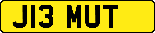 J13MUT