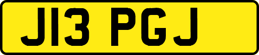 J13PGJ