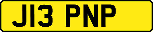 J13PNP