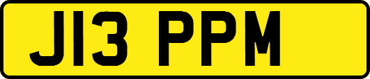 J13PPM