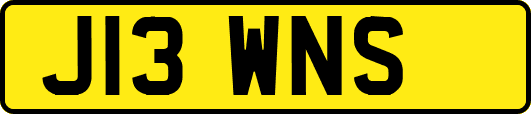 J13WNS