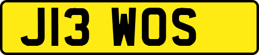 J13WOS