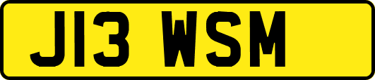 J13WSM