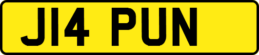 J14PUN