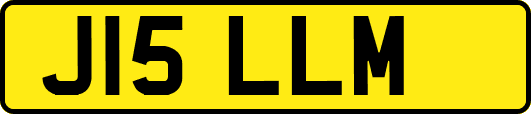 J15LLM