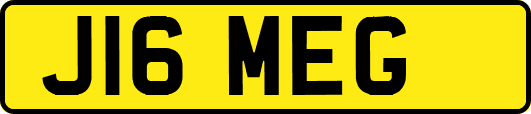 J16MEG