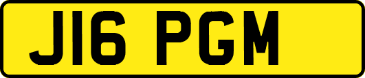 J16PGM