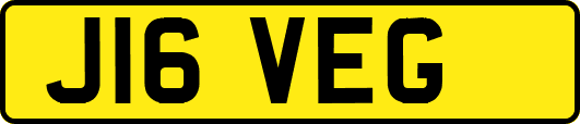 J16VEG