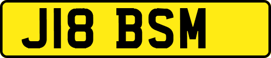J18BSM