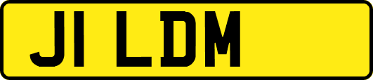 J1LDM