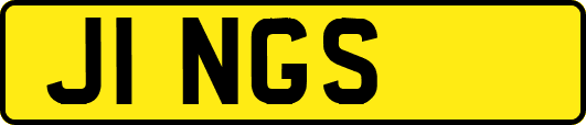 J1NGS