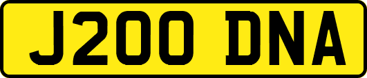 J200DNA