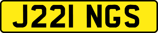 J221NGS