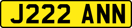 J222ANN