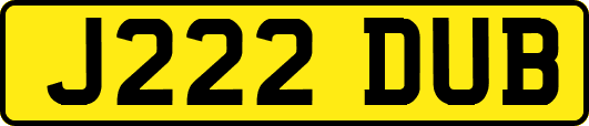 J222DUB