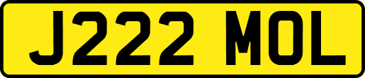 J222MOL