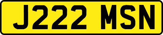 J222MSN