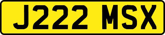 J222MSX