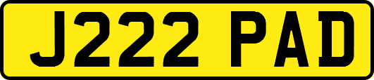 J222PAD