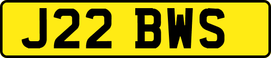 J22BWS