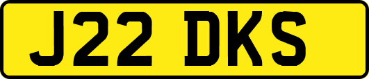 J22DKS