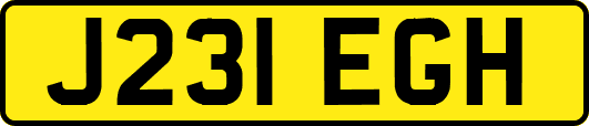 J231EGH