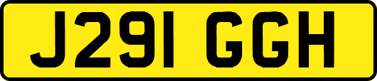 J291GGH