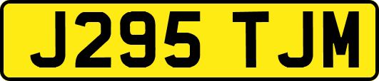 J295TJM