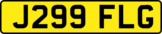 J299FLG