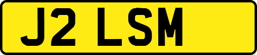 J2LSM